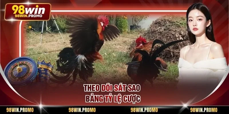 Luật Cá Cược Đá Gà Mạng - Quy Định Nền Tảng Mới Nhất 3 Theo dõi sát sao bảng tỷ lệ cược